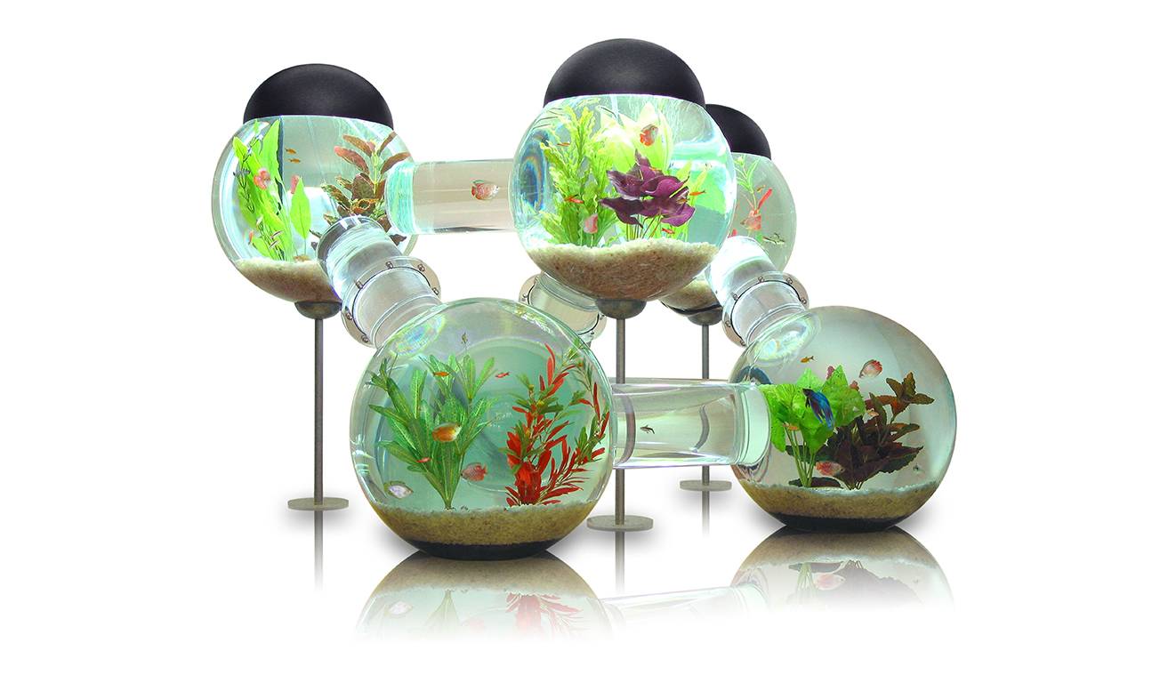 Aquarium de luxe pour poissons aventureux. 