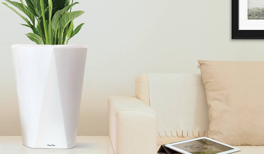 Le pot connecté Meg arrosera tout seul votre plante.