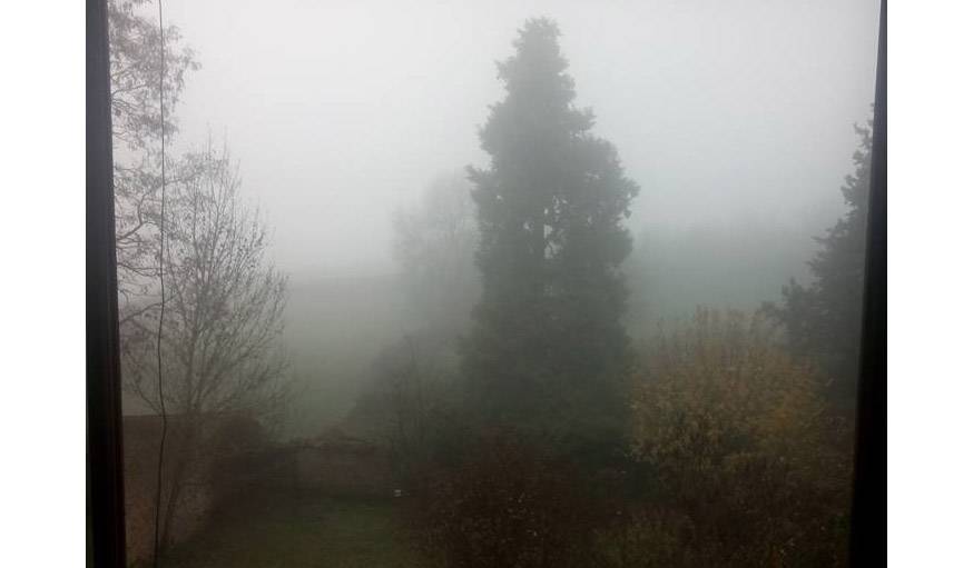 La brume de la campagne bourguignonne à Chevagny (Saône-et-Loire), le 12 novembre.
