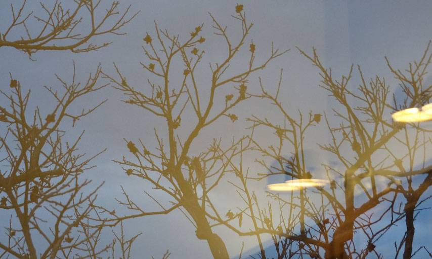 Reflet dans la fenêtre à La Cadière-d'Azur, dans le Var, le 6 décembre.