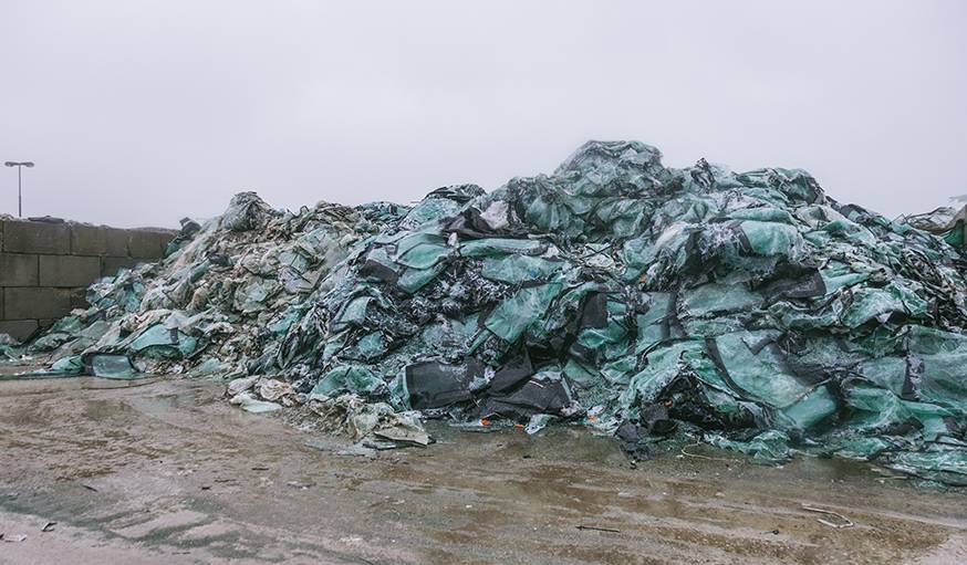 Les pare-brise avant qu'ils soient recyclés. 