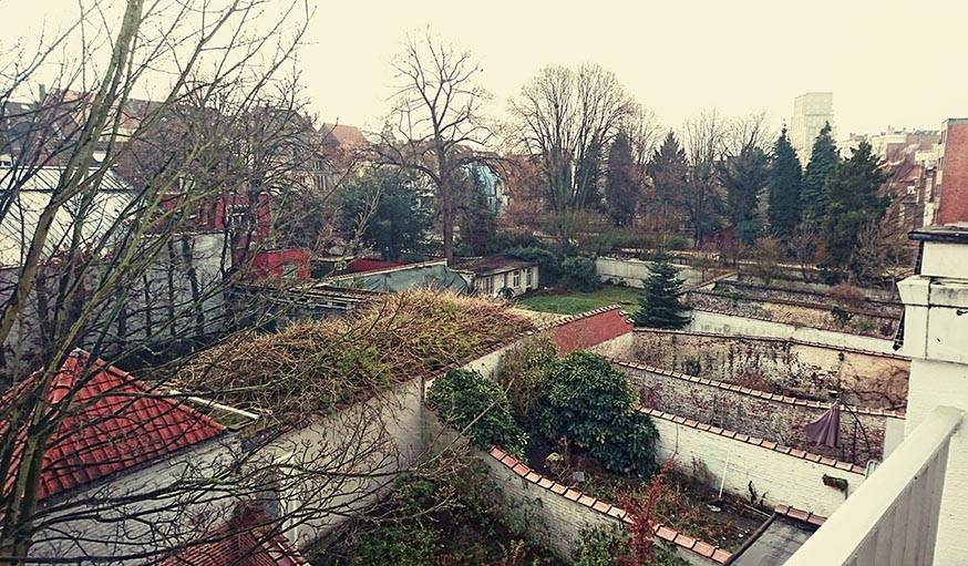 L'année a commencé en douceur. Le 1er janvier, vue sur des jardins à Ixelles (Belgique).
