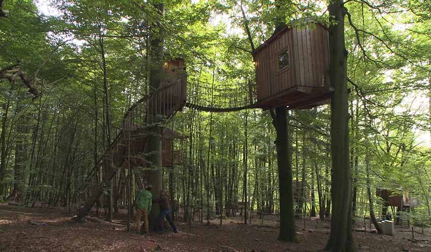 Une autre chambre de rêve au Baumhaushostel.