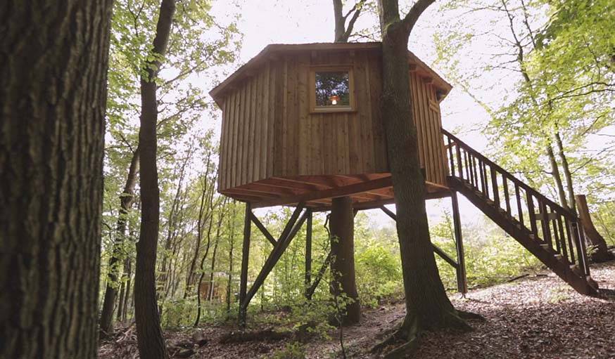  Une cabane qui enserre un arbre, au Baumhaushostel.