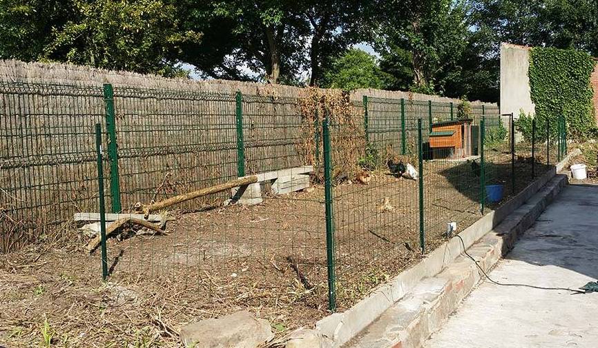 Le terrain d'Olivier Hoorelbeke sur lequel sont installées les poules.