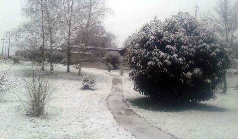 Manteau de neige à Moimay (Haute-Saône), le 25 février.