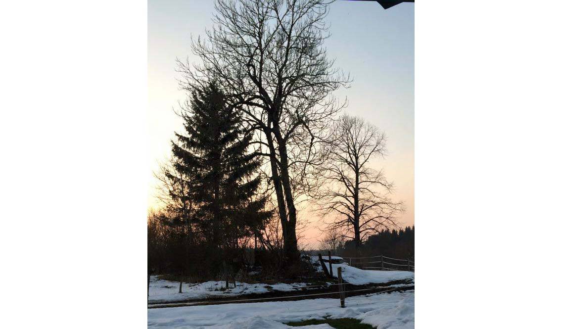 Douce lumière le 11 mars dans le Doubs.