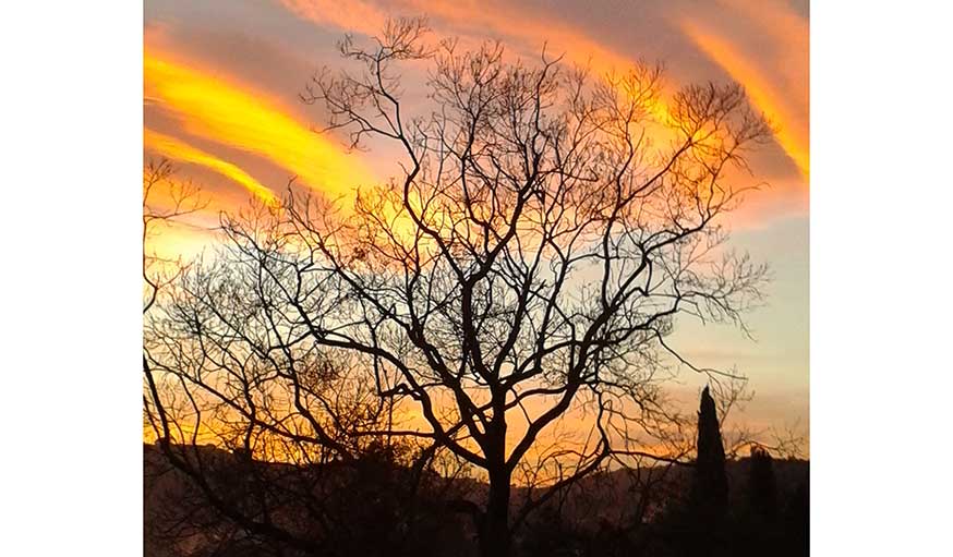 Coucher De Soleil à Pegomas (Alpes-Maritimes), le 6 avril.