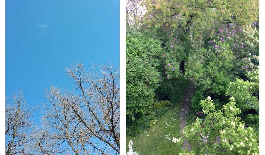 Petite lune perdue dans un ciel bleu à Montauroux (Var) et magnifique jardin printanier à Pavillons sous Bois (93). 