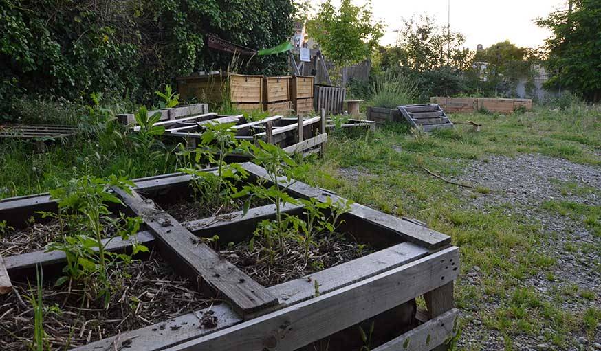 Le potager en palettes d'Artilect.