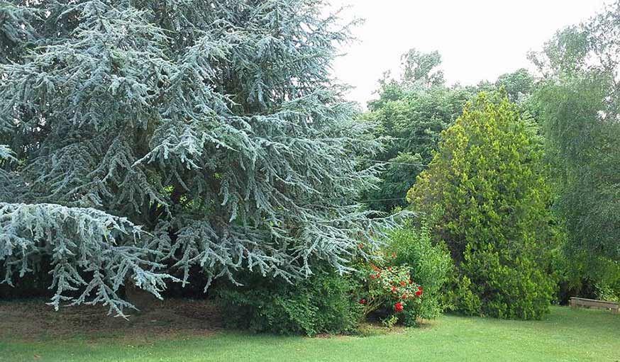 Un jardin au 14 juillet.