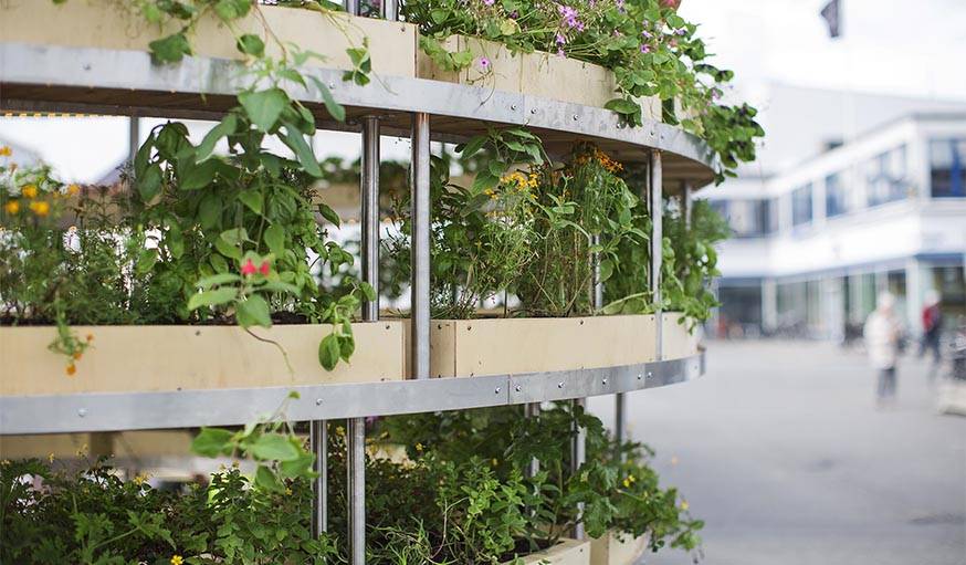 Les plantes vus de l'extérieur de the grow room.