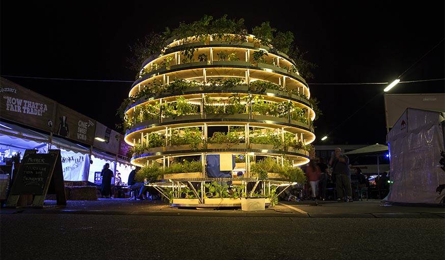 The grow room en éclairage de nuit.