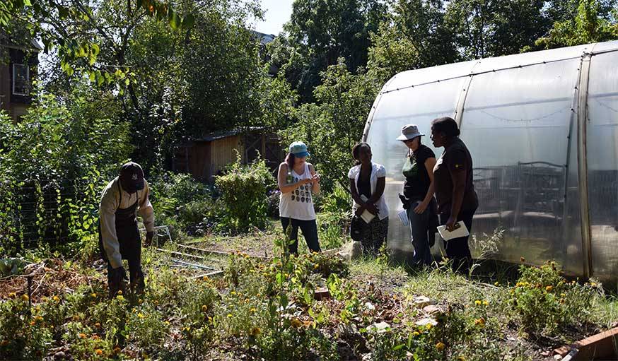 La Ferme Communautaire de Taqwa est un bout de campagne en plein New-York.