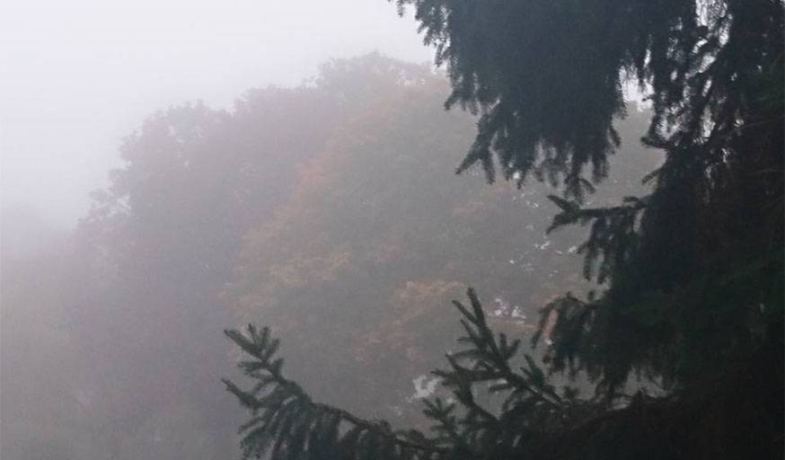 Une belle brume d'automne, depuis une fenêtre de Marly-le-Roi (Yvelines).