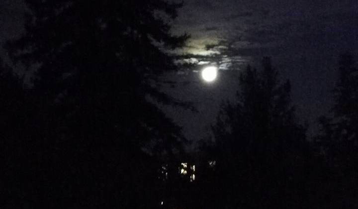 La lune aperçue à Talence (Gironde), la semaine du 15 novembre.