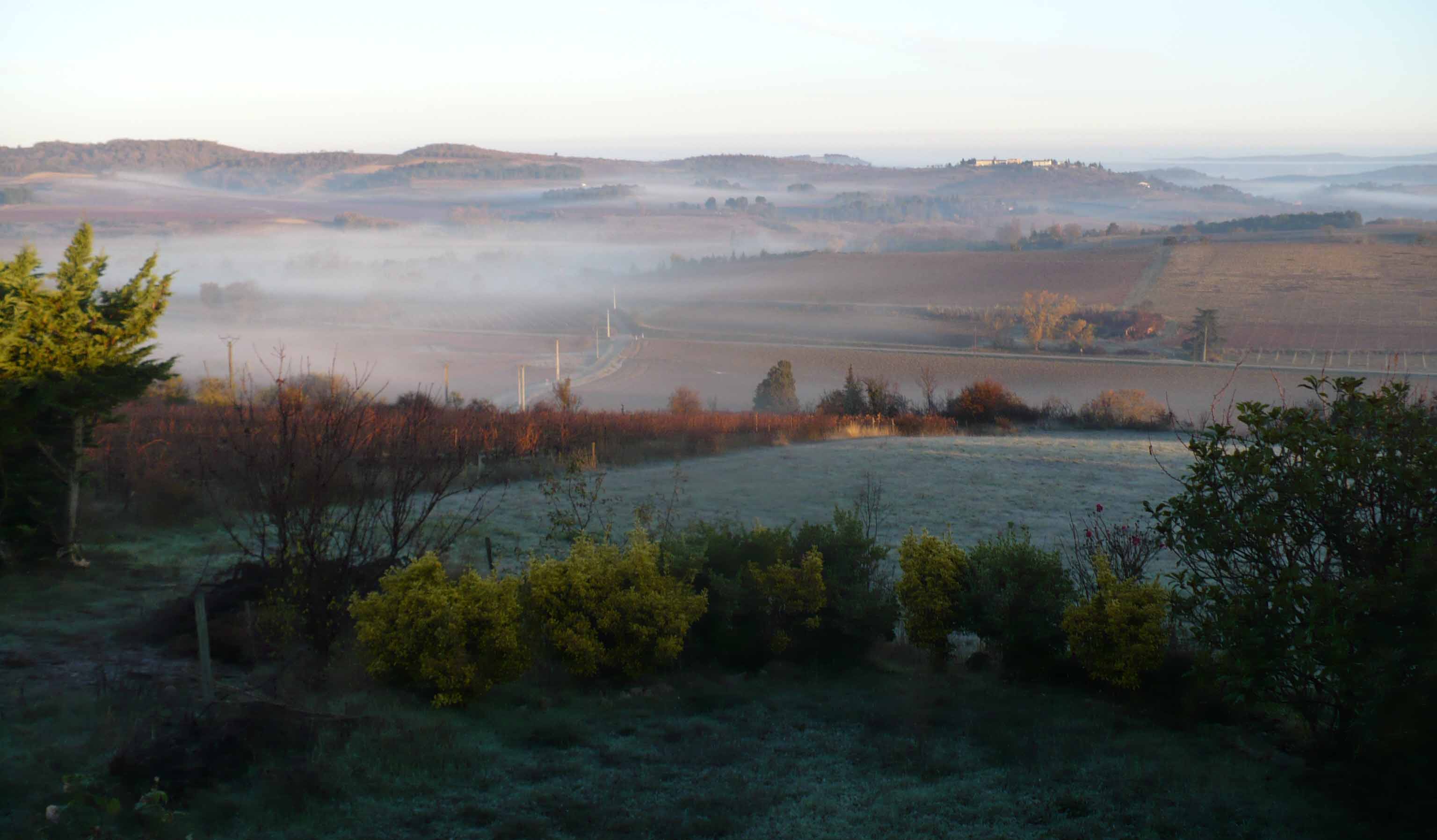 Beau panorama sur la campagne de l'Aude, dans la brume du lever du jour.