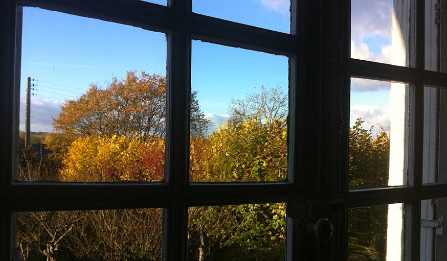 Arbres d'automne à Marçon (Sarthe), le 13 novembre.