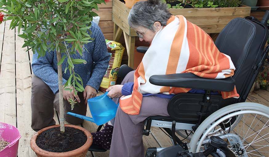 Un peu de jardinage. 