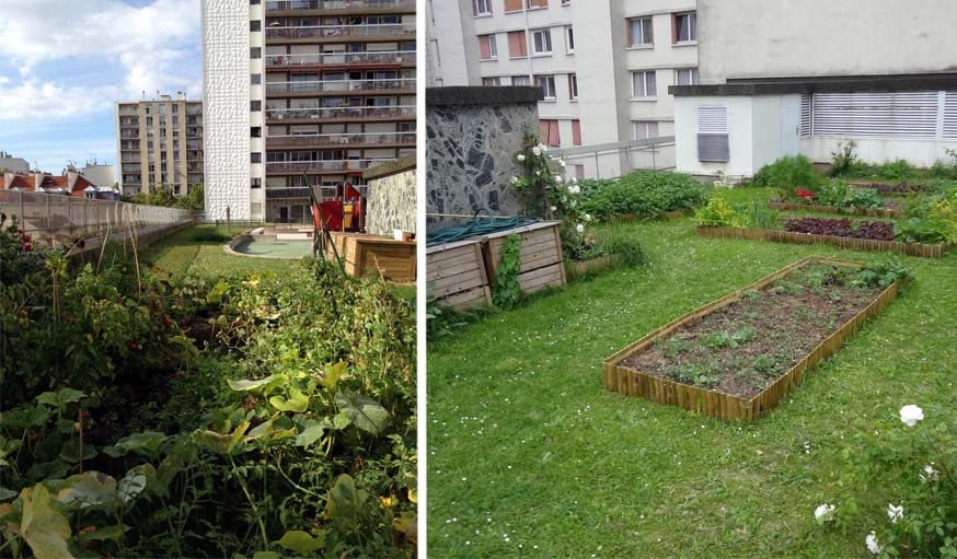 Les bacs potagers partagés sur la terrasse d'une résidence à Paris.