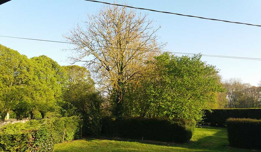 Jardin à Bayeux.