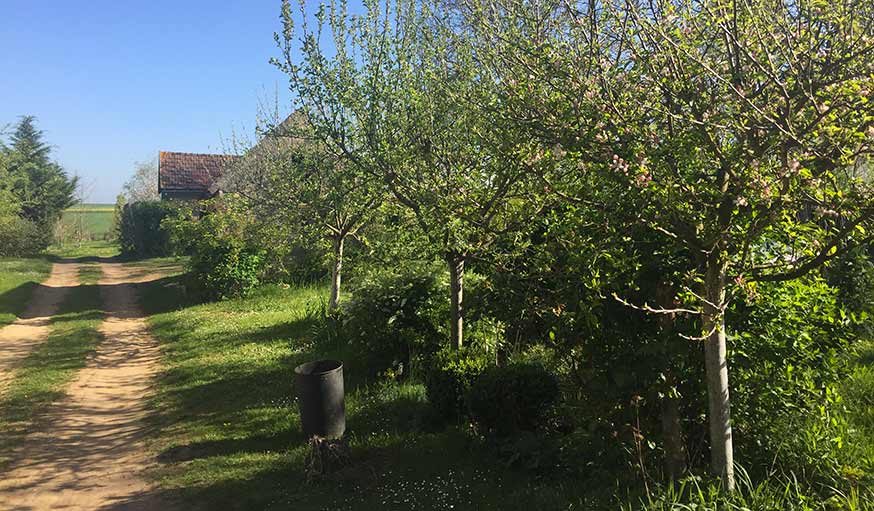 Un chemin de campagne à Dompierre sur Héry (Bourgogne), le 9 avril.