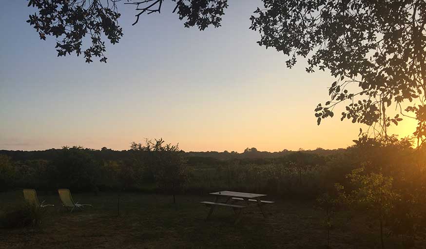 Soleil couchant à Saint-Crépin-aux-Bois dans l'Oise, le 6 mai.