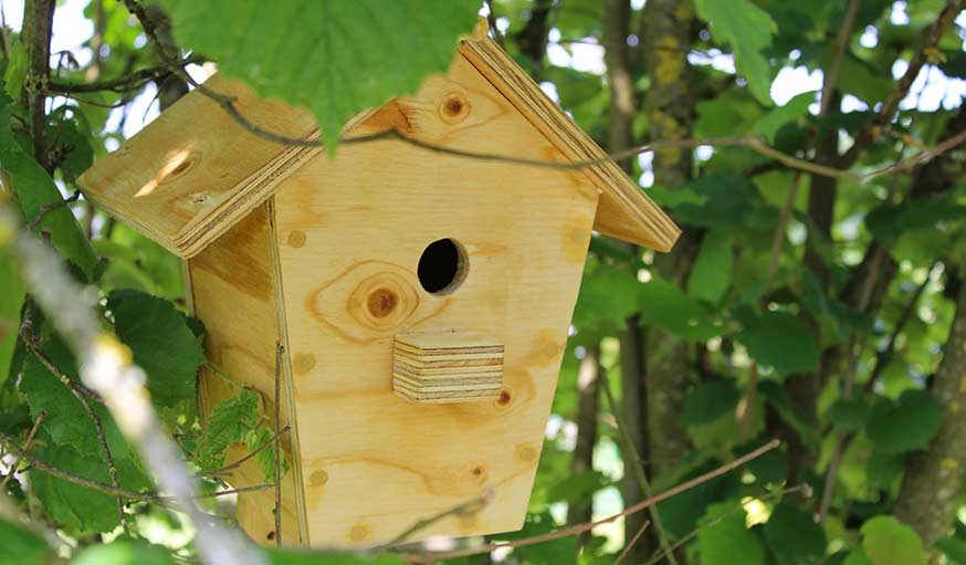 Les astuces à connaître pour construire une cabane à oiseaux - Auxerre  (89000)