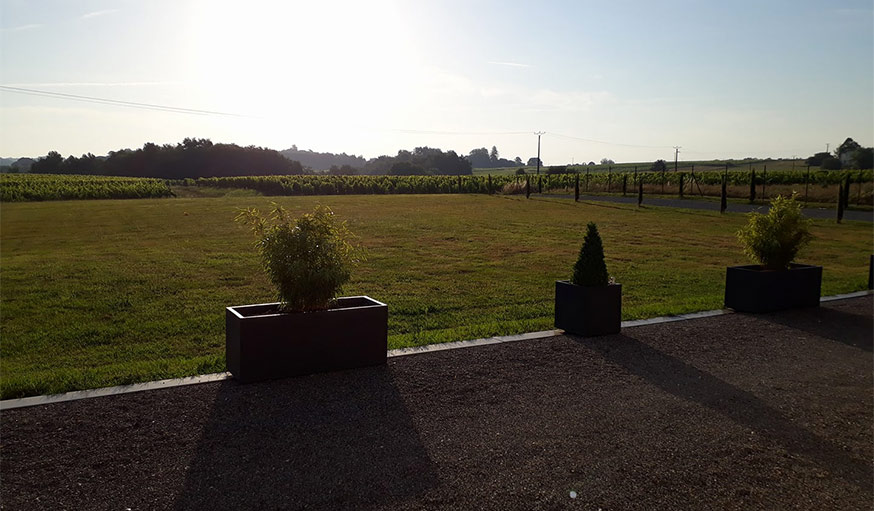 Paysage ensoleillé près de Cadillac en Gironde, durant la semaine du 20 juin.