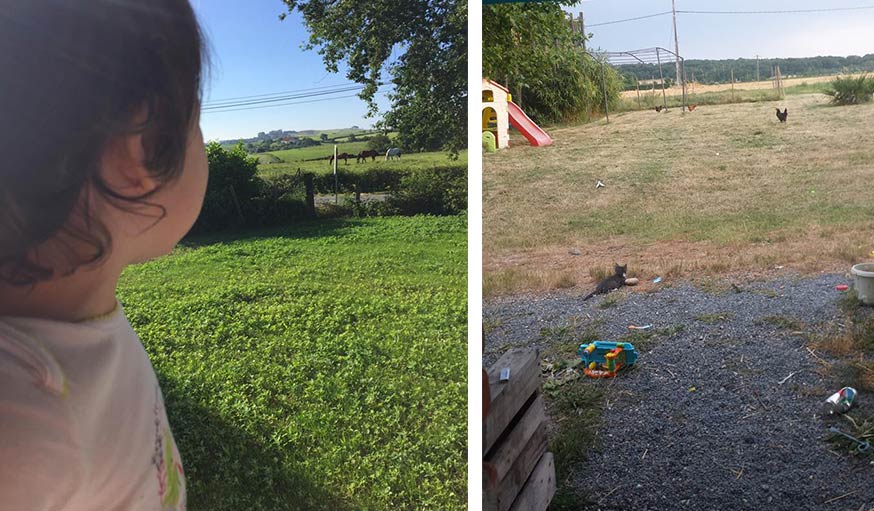 Vu sur les chevaux depuis la chambre (à gauche), et sur le chat et la poule à Saint-Sulpice à Tarn le 26 juin (à droite)