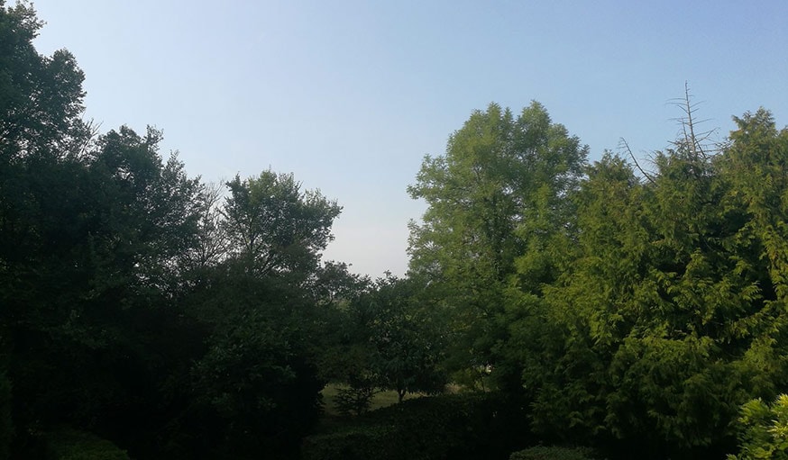  À Saint-Ouen-les-Vignes en Indre-et-Loire, le 27 août