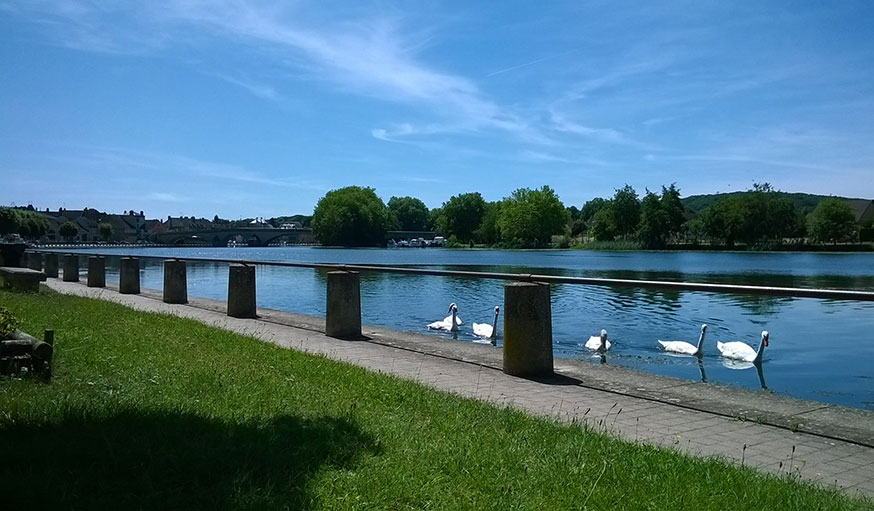  À Villeneuve-sur-Yonne, le 7 août