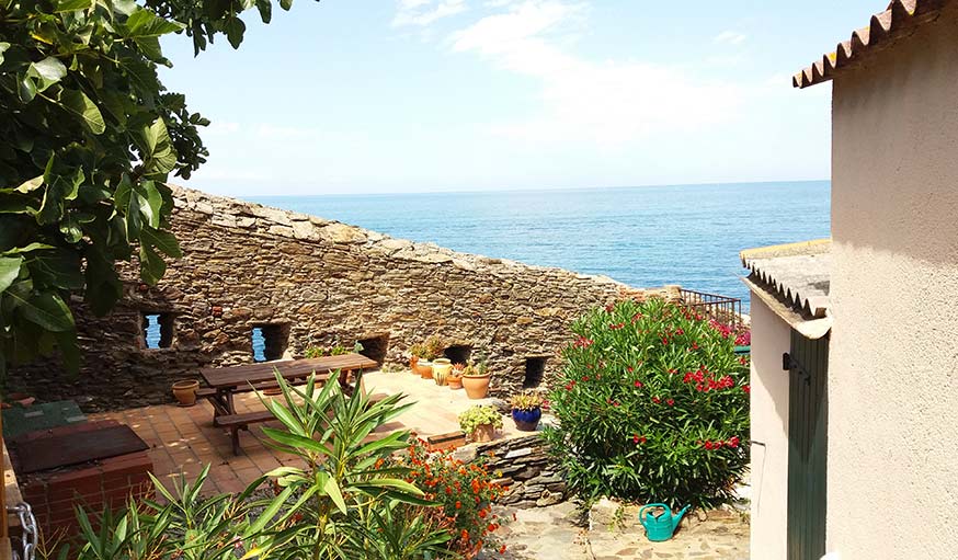 À Collioure en Pyrénées-Orientales