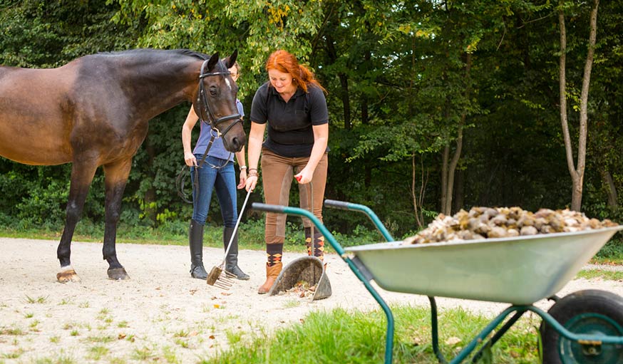 Fabriquer des bûches de crottin de cheval : le test qui envoie du bois –  Terre et sabots