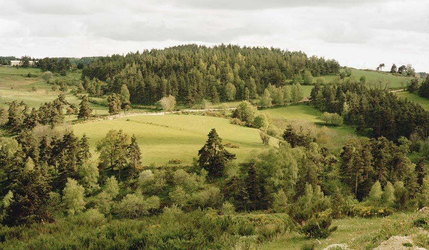 « Une campagne française » (La Margeride, Lozère), 2010 