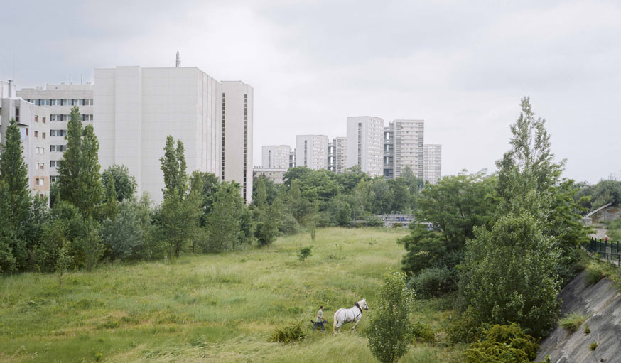 Le cheval de trait de Roger des Près sur le Grand Axe, Nanterre, 2008 