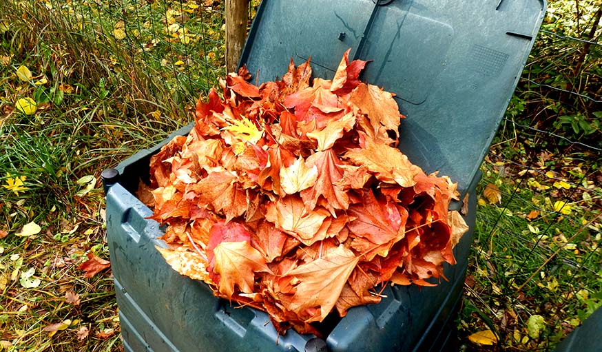 Que faire des feuilles mortes ?