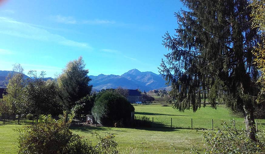 Vu sur la nature près de Bagnères-de-Bigorre en Occitanie, le 25 octobre