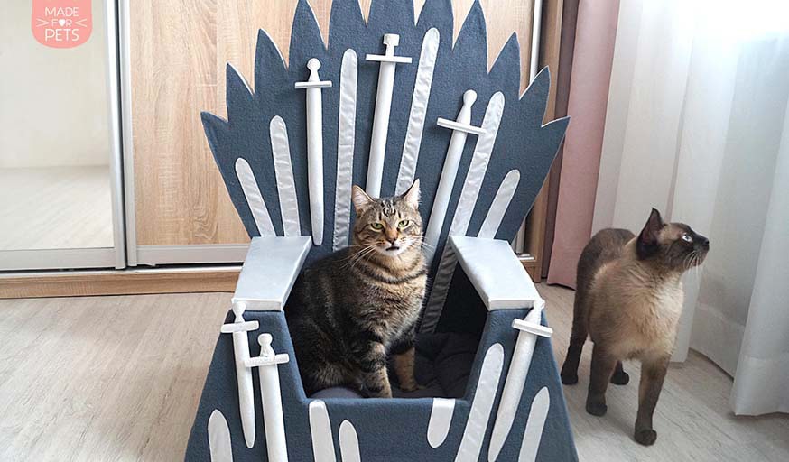 Le trone de Games of Thrones pour chat