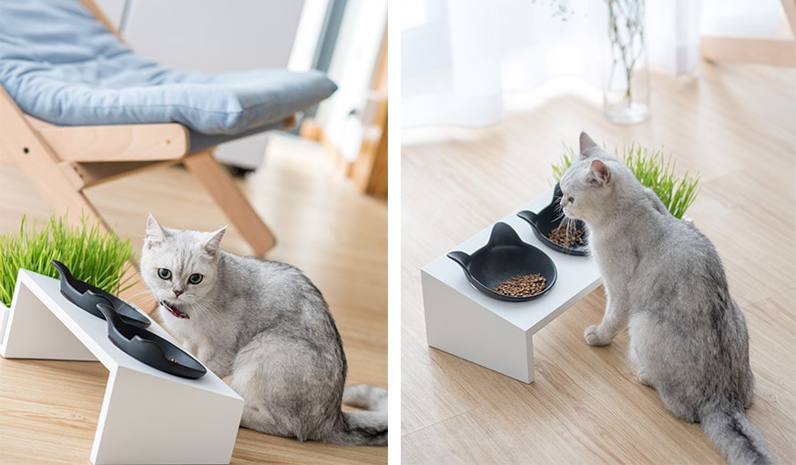 Un joli support gamelle design pour chat