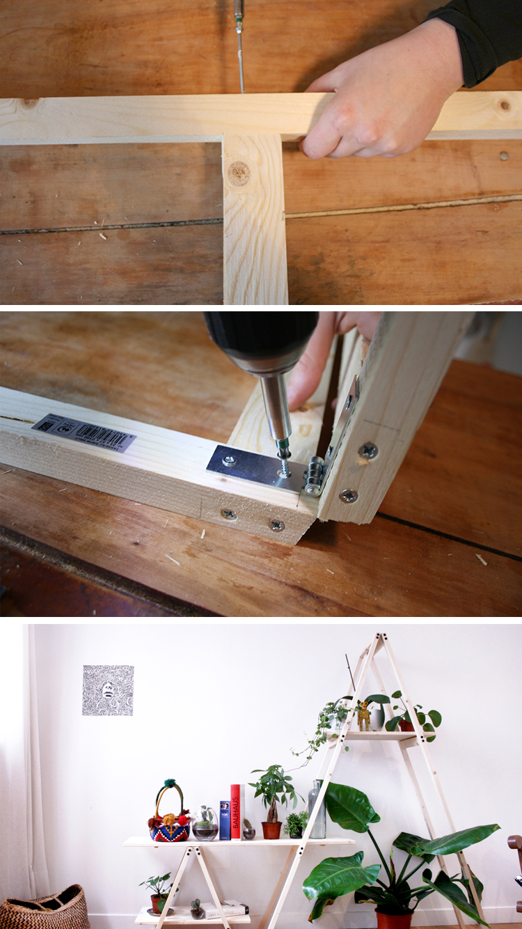 Fabriquer Une Etagere Pour Orchidée Tutoriel : Fabriquez une étagère échelle pour vos plantes - 18h39.fr