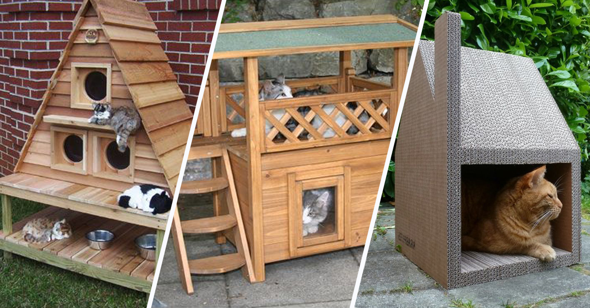 14 Idées De Cabanes Pour Chat Qui