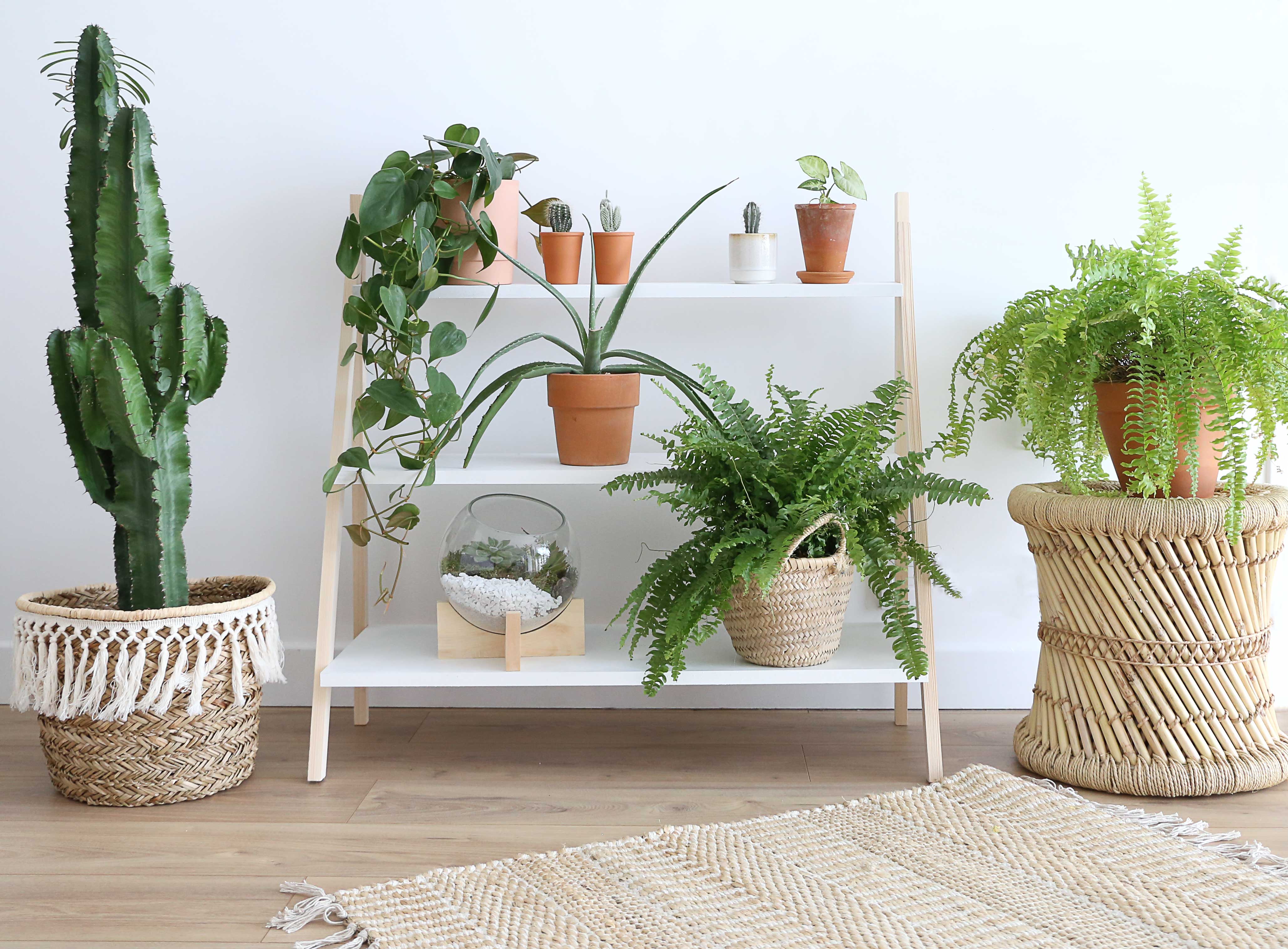 Echelle Décorative HOMASIS Étagère à Plantes En Forme De Croissant, étagère Pour Meuble Plantes D'intérieur