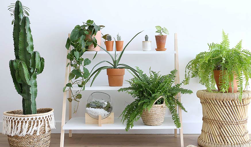 Tuto : Créez une étagère tendance pour poser vos plantes d'intérieur