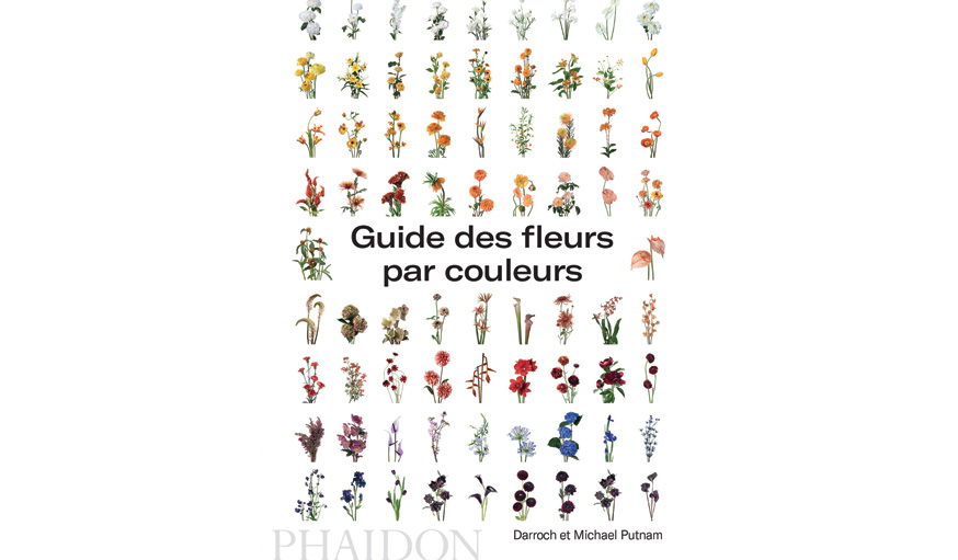 livre fleur colorées