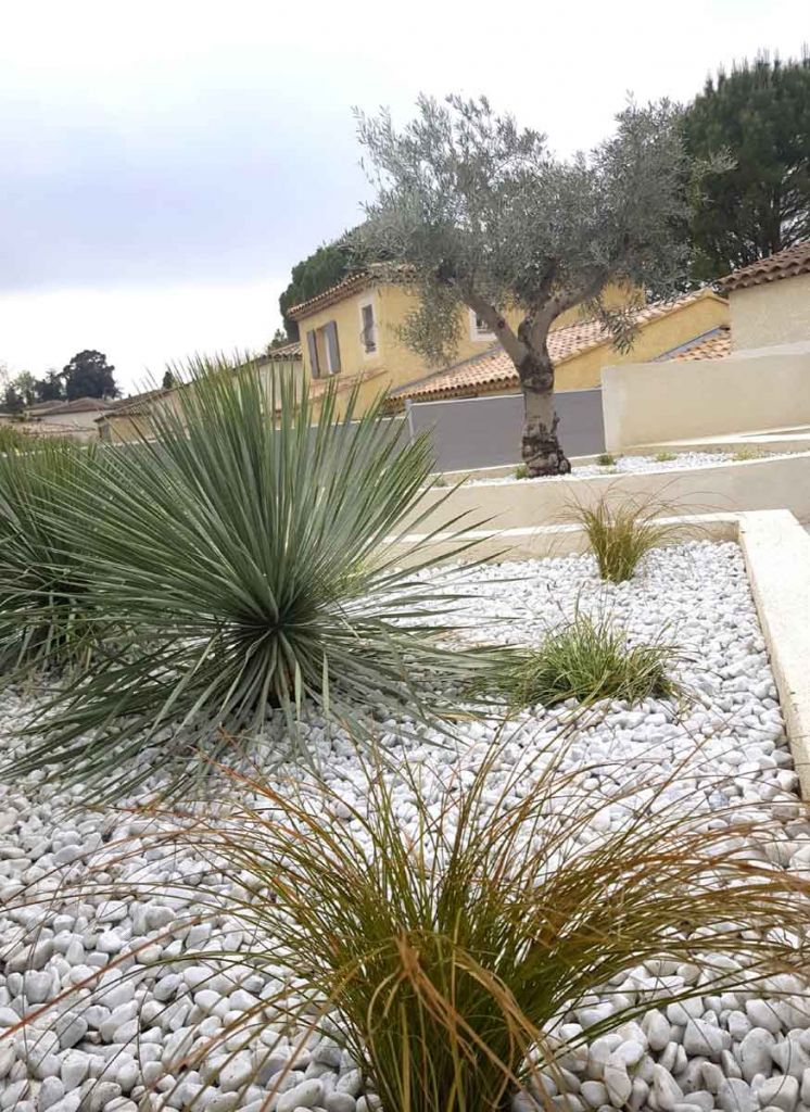 terrasse rénovée gros plan plantes méditerranéennes agence mrc