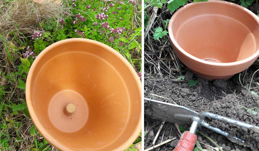 Arroser son jardin en cas de sécheresse : faire ses propres oyas