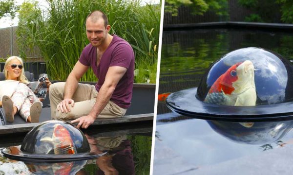 Ces dômes flottants permettent aux poissons d'observer hors de leur bassin