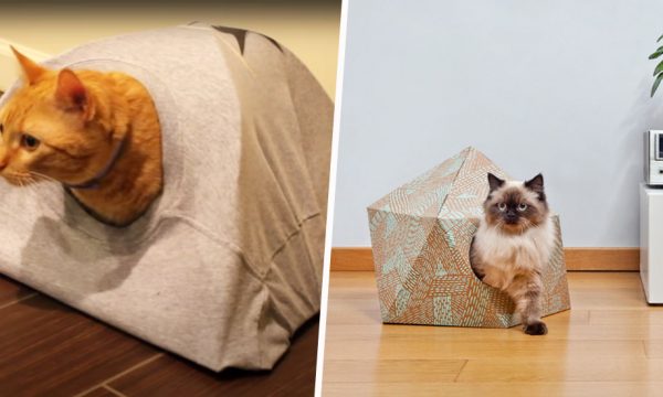 Version luxe ou DIY, trois paniers pour chat et chien à adopter d'urge