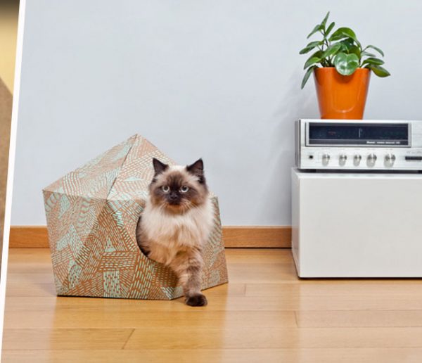 Version luxe ou DIY, trois paniers pour chat et chien à adopter d'urge